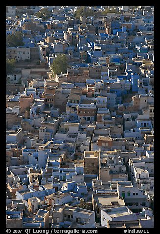 Rooftops of blue houses, seen from above. Jodhpur, Rajasthan, India