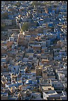 Rooftops of blue houses, seen from above. Jodhpur, Rajasthan, India