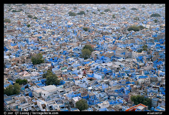 Whitewashed indigo tinted houses seen from above at dusk. Jodhpur, Rajasthan, India