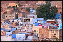 Old quarter houses at dawn. Jodhpur, Rajasthan, India (color)