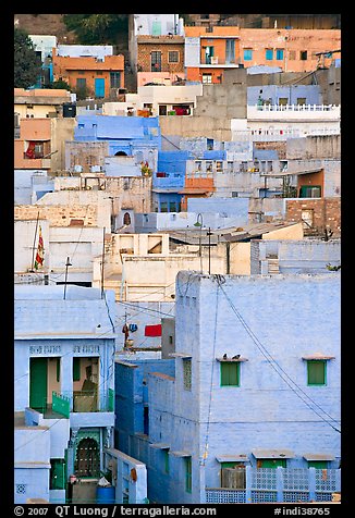 Old town houses with various shades of indigo. Jodhpur, Rajasthan, India (color)