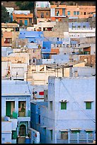 Old town houses with various shades of indigo. Jodhpur, Rajasthan, India ( color)