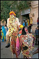 Flower-covered groom riding on horse. Jodhpur, Rajasthan, India (color)