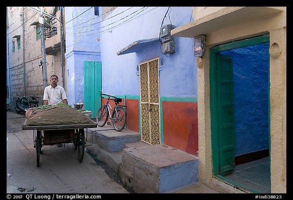Man with vegetables car in front of painted house. Jodhpur, Rajasthan, India (color)