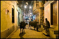 Cows in narrow old city street at night. Varanasi, Uttar Pradesh, India