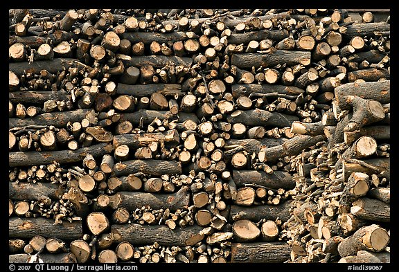 Firewood used for cremations. Varanasi, Uttar Pradesh, India (color)