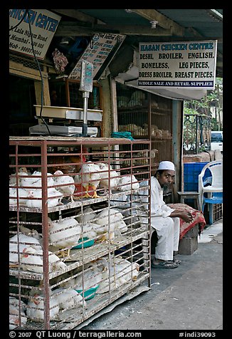 Chicken vendor, Colaba Market. Mumbai, Maharashtra, India (color)
