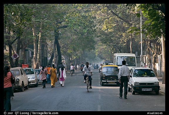 Tree-lined street, Colaba. Mumbai, Maharashtra, India (color)