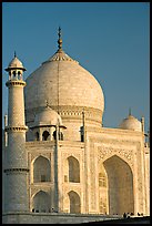 Taj Mahal, late afternoon. Agra, Uttar Pradesh, India (color)