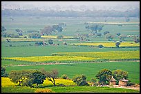 Fields in countryside. Fatehpur Sikri, Uttar Pradesh, India (color)