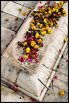 Flowers on tomb, Dargah mosque. Fatehpur Sikri, Uttar Pradesh, India (color)