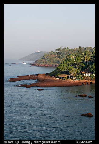 Coastline with palm trees, Dona Paula. Goa, India