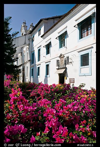 Convent of St Monica and flowers, Old Goa. Goa, India