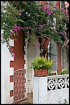 House facade with flowers, Panaji. Goa, India ( color)