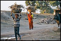 Villagers gathering wood. Khajuraho, Madhya Pradesh, India ( color)