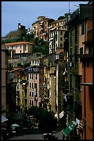 Main street, Riomaggiore. Cinque Terre, Liguria, Italy ( color)