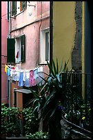 Courtyard, Vernazza. Cinque Terre, Liguria, Italy