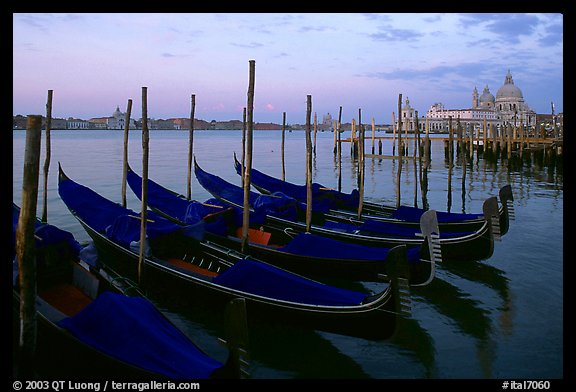 Gondolas, Canale della Guidecca, Santa Maria della Salute church at dawn. Venice, Veneto, Italy (color)