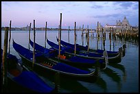 Gondolas, Canale della Guidecca, Santa Maria della Salute church at dawn. Venice, Veneto, Italy