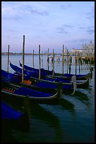 Parked gondolas, Canale della Guidecca, Santa Maria della Salute church at dawn. Venice, Veneto, Italy