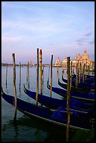 Parked gondolas, Canale della Guidecca, church Santa Maria della Salute, sunrise. Venice, Veneto, Italy