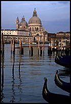 Moored gondolas, Canale della Guidecca, Santa Maria della Salute church at sunrise. Venice, Veneto, Italy