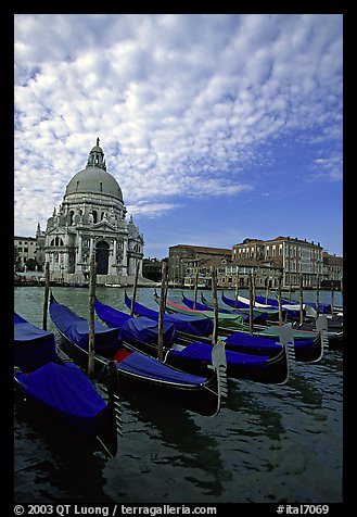 Gondolas, Grand Canal, Santa Maria della Salute church, morning. Venice, Veneto, Italy (color)