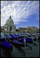 Gondolas, Grand Canal, Santa Maria della Salute church, morning. Venice, Veneto, Italy