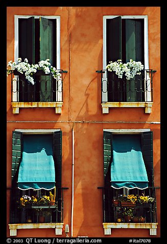 Windows, shutters, and flowers. Venice, Veneto, Italy (color)