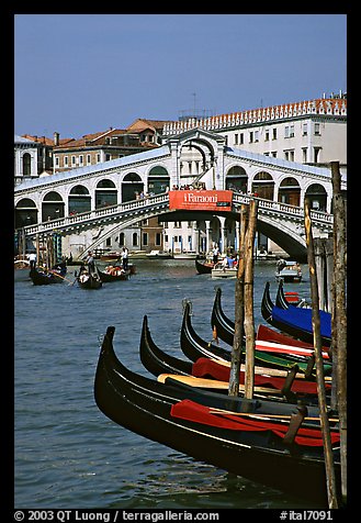 Gondolas and Rialto Bridge. Venice, Veneto, Italy (color)