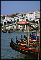 Gondolas and Rialto Bridge. Venice, Veneto, Italy (color)