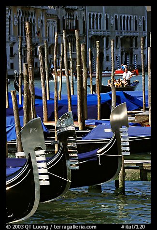 Gondolas prows, with their characteristic ferri. Venice, Veneto, Italy (color)