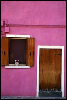 Door, window, pink-colored house,  Burano. Venice, Veneto, Italy (color)