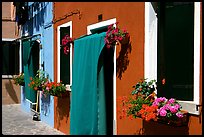 Multicolored houses and flowers,  Burano. Venice, Veneto, Italy (color)