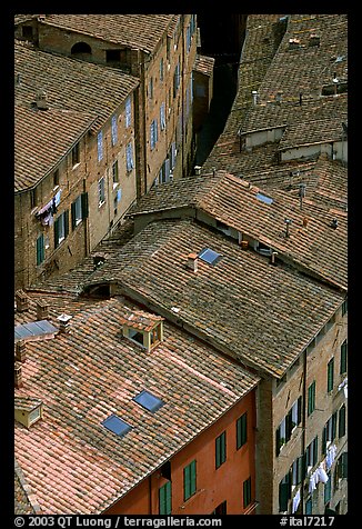 Rooftops seen from Torre del Mangia. Siena, Tuscany, Italy