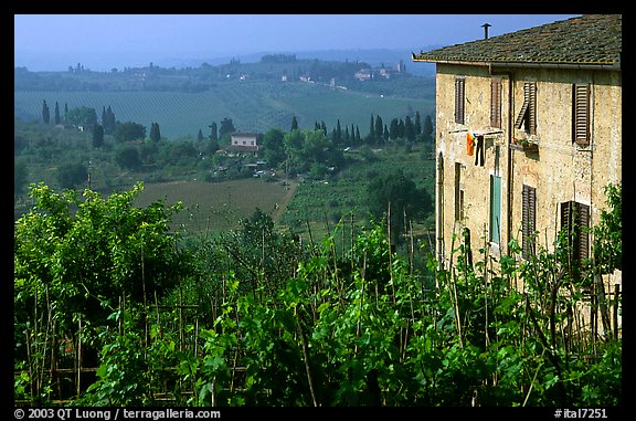 Gardens and countryside on the periphery of the town. San Gimignano, Tuscany, Italy (color)