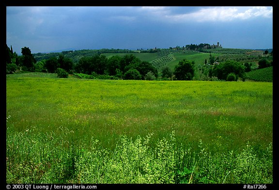 Countryside. Tuscany, Italy