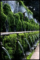 Alley lined with fountains, Villa d'Este. Tivoli, Lazio, Italy (color)