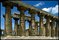 Columns of Greek Temple of Neptune. Campania, Italy