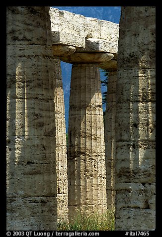 Columns of Temple of Neptune in Doric style. Campania, Italy