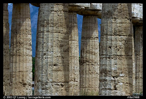 Doric columns of Tempio di Nettuno. Campania, Italy (color)