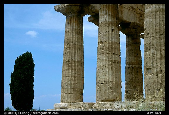Cypress and Doruc columns of  Temple of Neptune. Campania, Italy