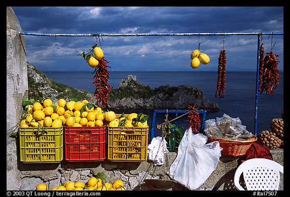 Lemons for sale. Amalfi Coast, Campania, Italy (color)