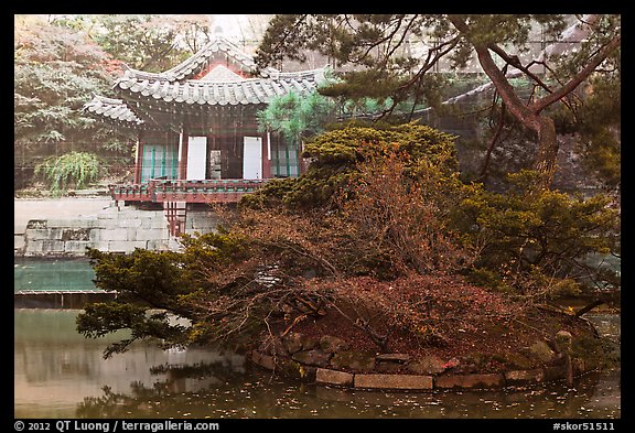 Buyongji, pond, trees, and canvas, Changdeok Palace. Seoul, South Korea