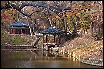 Pond in autumn, Changdeokgung Palace gardens. Seoul, South Korea (color)