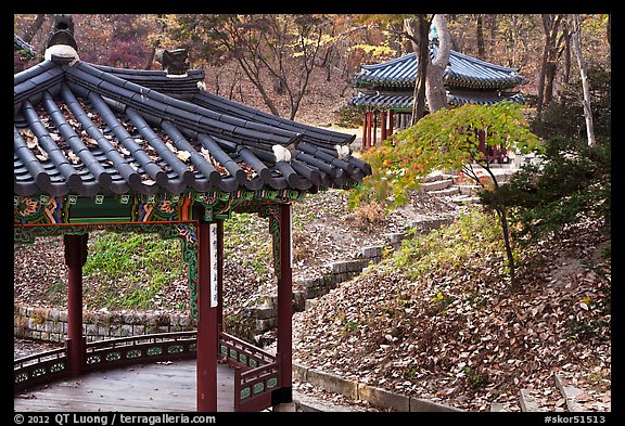 Pavilions in autumn, Changdeok Palace gardens. Seoul, South Korea (color)