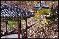 Pavilions in autumn, Changdeok Palace gardens. Seoul, South Korea (color)