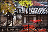 Fall foliage and historic architecture, Yeongyeong-dang, Changdeokgung Palace. Seoul, South Korea