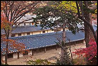 Fall foliage and tile rooftops, Yeongyeong-dang, Changdeokgung Palace. Seoul, South Korea