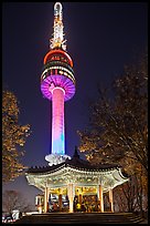 N Seoul Tower at night. Seoul, South Korea (color)